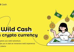 （停止）Wild Cash白嫖教程币安最新IEO HOOK生态-零撸矿吧